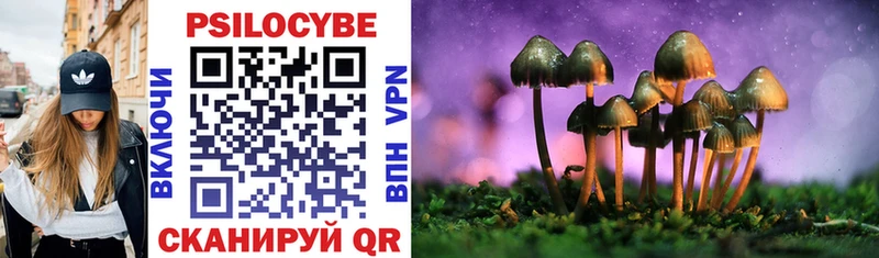 Псилоцибиновые грибы Psilocybe  магазин продажи наркотиков  Слободской 